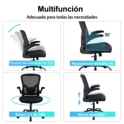 Ralex-chair Office Chair, Desk Chair with Flip-Up Armrests, Ergonomic Mesh Office Chair with Lumbar Support, Black