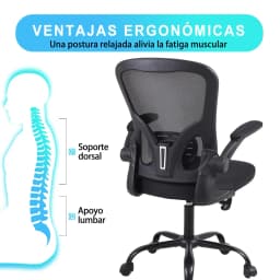Ralex-chair Office Chair, Desk Chair with Flip-Up Armrests, Ergonomic Mesh Office Chair with Lumbar Support, Black