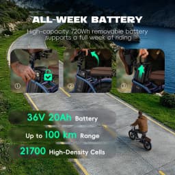 Fafrees Folding Electric Bicycle Adults 20x3.0 Fat Tire City E-bike with 36V 20Ah Removable Battery 100km Range