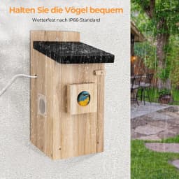 Real-time observation of nest construction 5 million pixel Outdoor Birdhouse camera DIY birdhouse nest box with camera