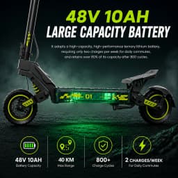 10 Inch Electric Scooter 48V 10Ah 40km Long Range Swing-arm Suspension Foldable Off-Road Electric kick Scooters