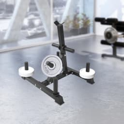 Weight Plate Holder Rust-Proof Weight Plate Bearing Rack Space Saving Vertical Weight Plate Bearing Rack for Home/Gym