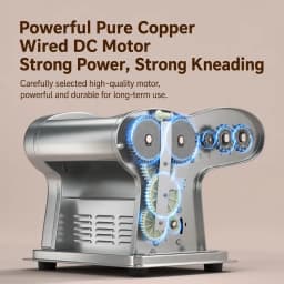 Electric Pasta Maker Machine Stainless Steel Household Dough Roller Noodle Press with 3 Cutting Rollers and 6 Thickness Settings for Dumpling Wrapper Fresh Noodles