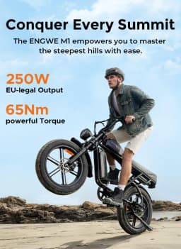 Adult Electric Bike 250W Motor 20” Fat Tire E-bike 48V 15.6AH+13AH Dual Battery Hydraulic Brake Full Suspension ElectricBicycle
