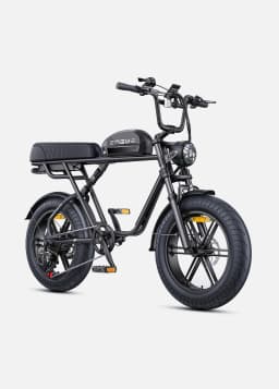 Adult Electric Bike 250W Motor 20” Fat Tire E-bike 48V 15.6AH+13AH Dual Battery Hydraulic Brake Full Suspension ElectricBicycle