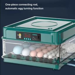 220V 24/36 Eggs Incubator Brooder Bird Quail Chick Eggs Farm Hatcher Automatic Farm Incubation Tools Poultry Hatcher Turner