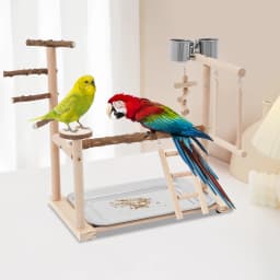 Parrot Bird Play Stand, Wooden Bird Playing Stand, Bird Playground with Ladder and Swing