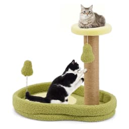 Small Cat Scratching Post, 50 cm High, Avocado Look, Cat Scratching Post with Cat Bed & Feather Toy & Sisal Scratching Posts