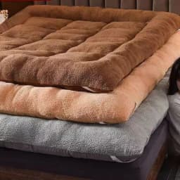 Winter Padded Lambswool Mattress Plus Velvet Dormitory Home Soft Pad Single and Double Warm Pad Quilt.