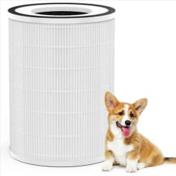 2Pack H13 True HEPA Filter, for Afloia KILO, KILOPLUS, KILOPRO, MIRO,MIRO PRO and MORENTO MR-Kilo Air Purifier