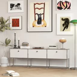 Customizable Modular Cabinets Sideboard TV Stand Storage Combination Cabinet Living Room Stainless Steel Wood Chest of Drawers