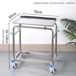 Thickened 304 Stainless Steel Auxiliary Cart with Wheels Multifunctional Medical Tray Rack Organizer Cart Medical Tool Trolley