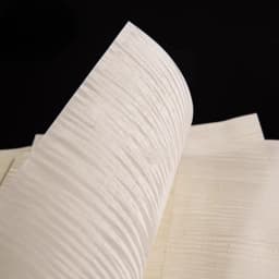 Size:510x350mm Thick:0.5mm Natural Bleached Maple Figured Wood Veneer Guitar face material DIY Guitar specific size veneer