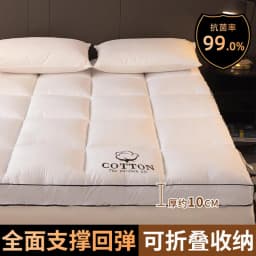 Hotel Special Mattress Thickened Household Cushion Single Bed Double Mattress Rental Room Special Mattress Soft Cushion