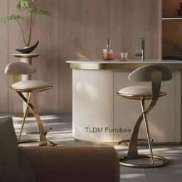 Designer Light Luxury Bar Chairs Italian High Stool Home Stainless Steel Cafe Kitchen Backrest Bar Chair Creative Bar Furniture
