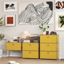 Vintage Module Sideboard Living Room Storage Cabinet Wood Bedroom Stainless Steel Metal Frame Storage Customizable TV Cabinet