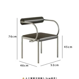 Mid-Century Modern Dining Chair for Bedroom or Study, Stainless Steel Seating, Trendy Makeup Chair, Designer Home