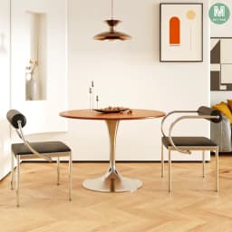 Mid-Century Modern Dining Chair for Bedroom or Study, Stainless Steel Seating, Trendy Makeup Chair, Designer Home