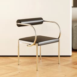 Mid-Century Modern Dining Chair for Bedroom or Study, Stainless Steel Seating, Trendy Makeup Chair, Designer Home