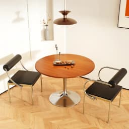 Mid-Century Modern Dining Chair for Bedroom or Study, Stainless Steel Seating, Trendy Makeup Chair, Designer Home