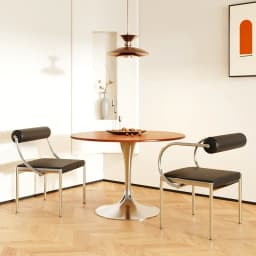 Mid-Century Modern Dining Chair for Bedroom or Study, Stainless Steel Seating, Trendy Makeup Chair, Designer Home