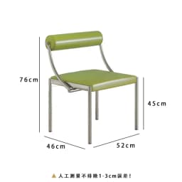 Mid-Century Modern Dining Chair for Bedroom or Study, Stainless Steel Seating, Trendy Makeup Chair, Designer Home