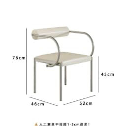 Mid-Century Modern Dining Chair for Bedroom or Study, Stainless Steel Seating, Trendy Makeup Chair, Designer Home