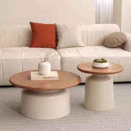 Stylish Apartment Coffee Table Living Room Center Table Minimalist Iron Round Desk for Small Apartment/Homestay Coffee Tables