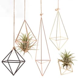 Iron Propagation Stations Glass Terrarium Plant Geometric Shape Plant Iron Stand Air Plant Holder Home Office Gardening Decor