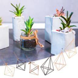 Iron Propagation Stations Glass Terrarium Plant Geometric Shape Plant Iron Stand Air Plant Holder Home Office Gardening Decor