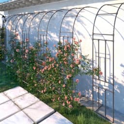 Half Arch Rack for Climbing Plants Outdoor Garden Support for Clematis or Roses Durable Grape Vine Holder Vegetable Grow System