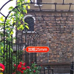 Half Arch Rack for Climbing Plants Outdoor Garden Support for Clematis or Roses Durable Grape Vine Holder Vegetable Grow System