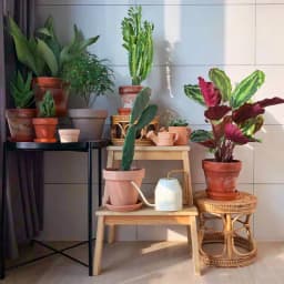 Rattan Low Stool Living Room Small Apartment Round chair Ottomans Designer Balcony garden Changing Stool plant holder shelf