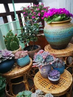 Rattan Low Stool Living Room Small Apartment Round chair Ottomans Designer Balcony garden Changing Stool plant holder shelf