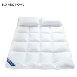Five Star Hotel Mattresses 10cm Thick Soft And Comfortable Mattress 5cm For Family Bedspreads King Queen Twin Full Size Tatami