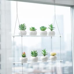 ABWP-3-Tier Window Plant Shelves 16 Inch, Acrylic Adjustable Hanging Floating Shelf, Window Sill Extender For Indoor Plants