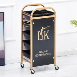Trolley for Hairdresser Barberia Multi-purpose Organizer Professional Hairdressing Trolley To Transport Things Barber Furniture