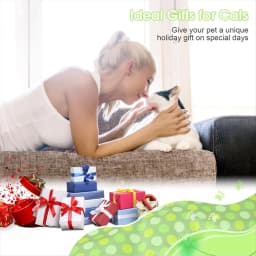 Interactive Cat Toys Rechargeable,Moving Concealed Feathers,Real Mouse Squeaky,Touch Activated Cat Kitten Toy