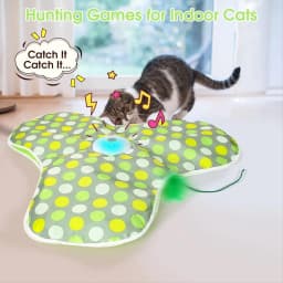 Interactive Cat Toys Rechargeable,Moving Concealed Feathers,Real Mouse Squeaky,Touch Activated Cat Kitten Toy