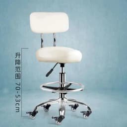 Backrest Lift Swivel Chair Pulley Kitchen Cook Barber Chair Treatment Saddle Stool Cosmetic Aesthetic Master Стул На Колесиках