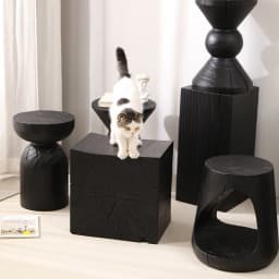 Wabi-Sabi Charred Wood Side Table Handcrafted Tree Stump Stool with Natural Texture Bedside Coffee Table for Home Decor