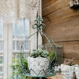 Hanging Plant Holder Hanging Pots for Plants Indoor Outdoor Hanging Plants