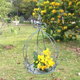 Hanging Plant Holder Hanging Pots for Plants Indoor Outdoor Hanging Plants