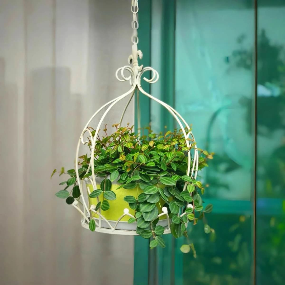 Hanging Plant Holder Hanging Pots for Plants Indoor Outdoor Hanging Plants