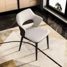 Designer Dining Chair Light Luxury Household Furniture Modern Minimalist Backrest Seat Lounge Chair Luxury Dining Room