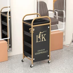 Hairdresser Tool Trolley Cart Rolling Barber Lash and Tattoo Cart for Spa and Salon Use Portable Salon Organizer