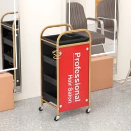 Hairdresser Tool Trolley Cart Rolling Barber Lash and Tattoo Cart for Spa and Salon Use Portable Salon Organizer