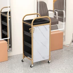 Hairdresser Tool Trolley Cart Rolling Barber Lash and Tattoo Cart for Spa and Salon Use Portable Salon Organizer