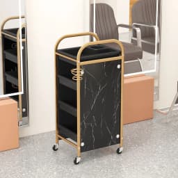 Hairdresser Tool Trolley Cart Rolling Barber Lash and Tattoo Cart for Spa and Salon Use Portable Salon Organizer