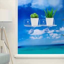 ABZC-Clear Acrylic Window Plant Shelves With Suction Cups For Plants, Camera, Picture Frame